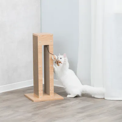 Scratching furniture made of wood with sisal surfaces, white cat playing with attached toy.
