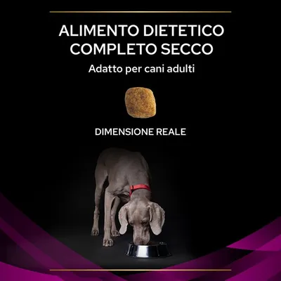 Alimento dietetico completo secco, adatto per cani adulti. Dimensione reale della crocchetta mostrata. Cane adulto grigio con collare rosso che mangia da una ciotola.