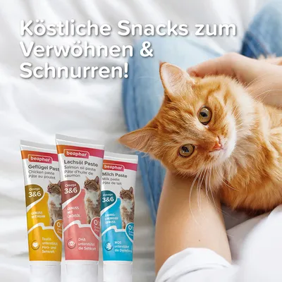 Beaphar Geflügel Paste, Lachsöl Paste und Milch Paste für Katzen. Omega 3&6, unterstützt Herz-, Sehkraft und Darmflora. Text: Köstliche Snacks zum Verwöhnen & Schnurren!