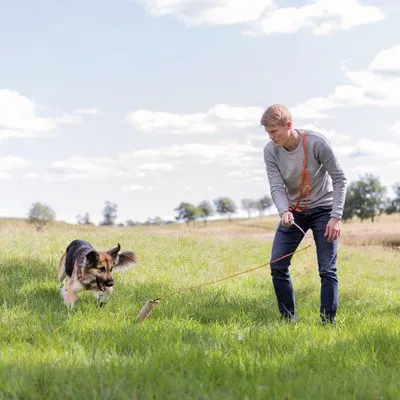 Hond aan lange lijn in het gras, persoon houdt de lijn vast tijdens wandeling in een open veld. Hond kijkt naar speeltje aan het uiteinde van de lijn.