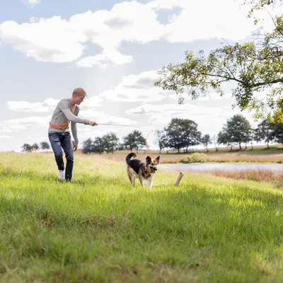 Person använder en lång leksakspinne med rep för att aktivera en hund utomhus på gräsfält. Hunden jagar leksaken som hänger i snöre.