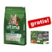 Ultima Cat 10kg droogvoer + bijpassend natvoer gratis!