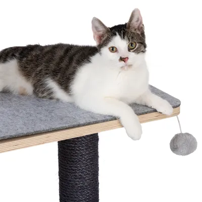 Kradsøjle med gråt filtunderlag, sisalstamme og hængende bold. Kat ligger afslappet på øverste platform.