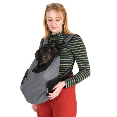 Borsa grigia per pet con cinghie regolabili, indossata sul petto. Un cane piccolo guarda fuori dalla borsa.