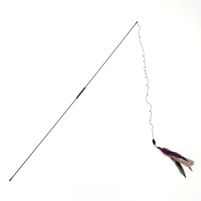 Canne à pêche Bird pour chat