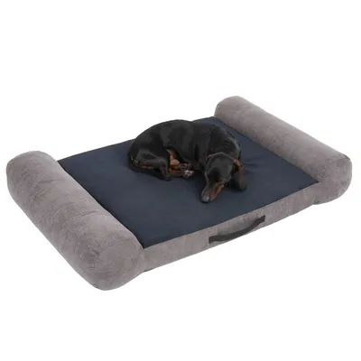 Zwarte teckel slaapt op een grijs hondenbed met donkerblauw ligvlak en zijwanden.