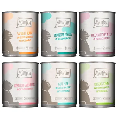 Sechs Mjamjam Dosen: Saftiges Huhn, Exquisite Forelle, Kulinarisches Wild, Köstliche Garnelen, Gute Pute, Leckeres Rind. Hinweise: getreidefrei, viel Fleisch, mit Katzenminze oder Möhrchen.