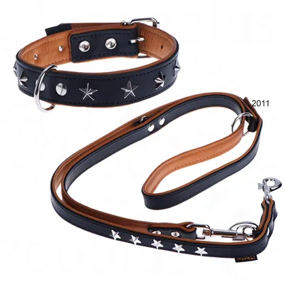 Sort og brun hundehalsbånd og line i læder med sølvfarvede stjerner og metalspænder. Synlige nitter og D-ring på halsbåndet, karabinhage på linen. Tekst: 2011.