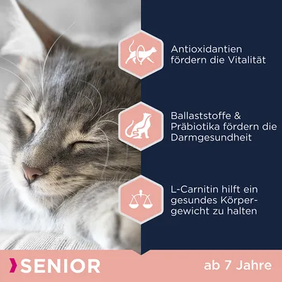 Senior Katzenfutter ab 7 Jahre. Antioxidantien fördern Vitalität, Ballaststoffe und Präbiotika unterstützen Darmgesundheit, L-Carnitin hilft gesundes Körpergewicht zu halten.