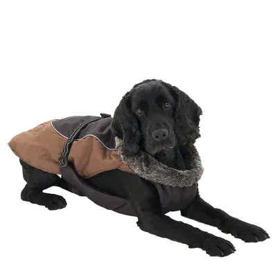 Black dog wearing a brown coat with fur collar and reflective details. Product shows dog coat in lying position.