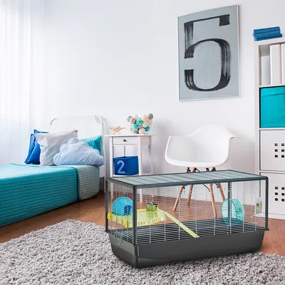 Hamsterkäfig mit grauem Boden, Gitterwänden und Zubehör wie Laufrad, gelber Rutsche und Häuschen. Aufgestellt in modernem Zimmer mit blau-weisser Einrichtung.