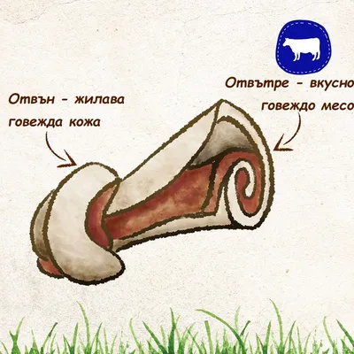 Схематично изображение на дъвчаща кост с надписи: „Отвън – жилава говежда кожа“, „Отвътре – вкусно говеждо месо“ и икона с крава.