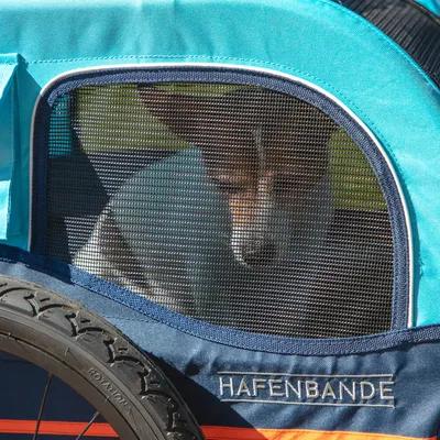 Hafenbande Fahrradanhänger mit Netzfenster, zeigt einen Hund im Inneren. Blaues und oranges Design mit sichtbarem Reifen.