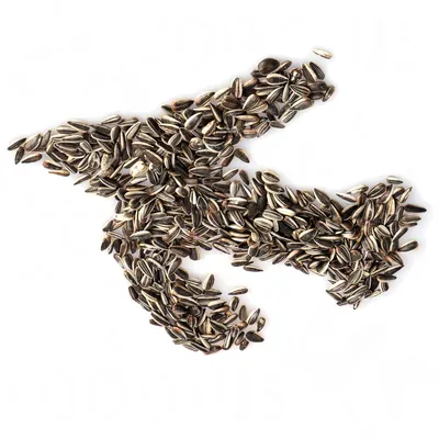 Sunflower seeds shaped like a bird, suitable as bird feed.