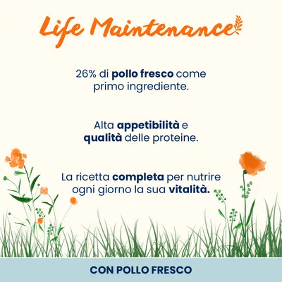 Almo Nature Functional Life Maintenance Pollo & Riso Almo Nature Functional Life Maintenance Pollo & Riso