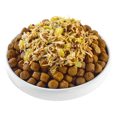 Ciotola bianca con crocchette marroni e mix di carne sfilacciata, verdure a pezzi e semi visibili sopra le crocchette. Nessun marchio o testo visibile.