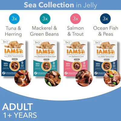 IAMS Sea Collection u želeu za odrasle mačke 1+ godina: 3x tuna i haringa, 3x skuša i zelene mahune, 3x losos i pastrva, 3x oceanska riba i grašak. 99 % životinjskih proteina.