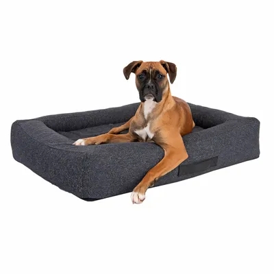 Dog lying on a dark grey dog bed with raised edge and rectangular shape.