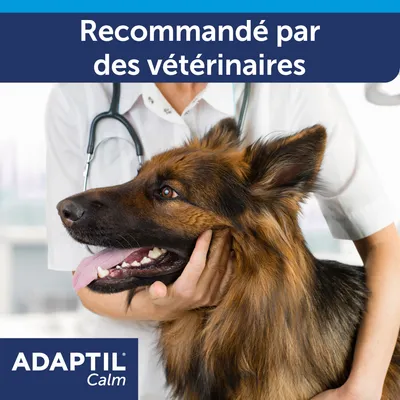 Recommandé par des vétérinaires. ADAPTIL Calm.