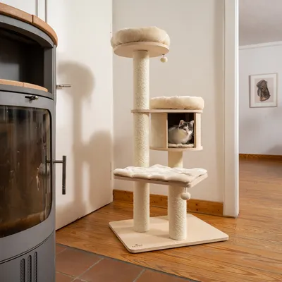 Kratzbaum aus Holz mit drei Ebenen, Sisalstämmen und gepolsterten Liegeflächen. Katze sitzt in einer Höhle auf der mittleren Ebene.