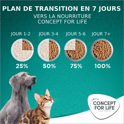 Concept for Life Large Adult