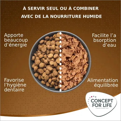 Concept for Life Medium Senior pour chien