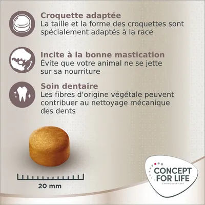 Croquette adaptée, incite à la bonne mastication, soin dentaire. Croquette ronde de 20 mm. Marque Concept for Life. Texte en français sur les avantages et la taille.