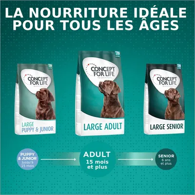 Concept for Life Large Adult