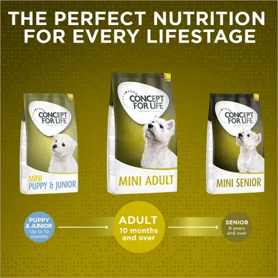 Tre confezioni Concept for Life: Mini Puppy & Junior, Mini Adult, Mini Senior. Testo visibile: 'Puppy & Junior up to 10 months', 'Adult 10 months and over', 'Senior 8 years and over'.