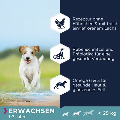 Erwachsenenfutter für Hunde von 1-7 Jahren, unter 25 kg. Rezeptur ohne Hähnchen, mit Lachs, Rübenschnitzel und Präbiotika für Verdauung, Omega 6 & 3 für Haut und Fell.