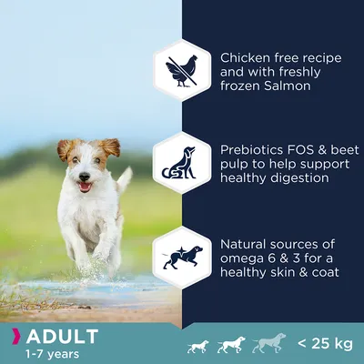 Chicken free recipe with freshly frozen salmon, prebiotics FOS and beet pulp for digestion, natural omega 6 and 3 for skin and coat. Adult 1-7 years, under 25 kg.