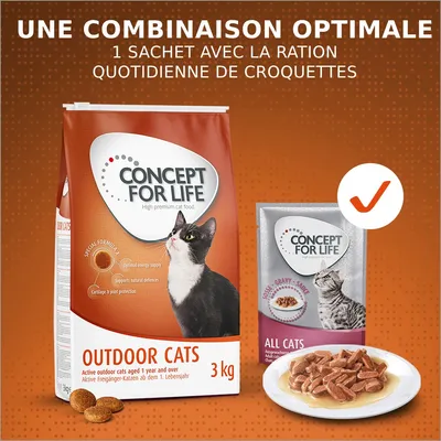 Croquettes Concept for Life Outdoor Cats 3 kg et sachet All Cats, suggestion de service. Texte : Une combinaison optimale, 1 sachet avec la ration quotidienne de croquettes.