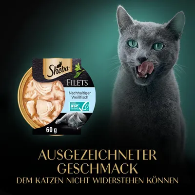 Sheba Filets, nachhaltiger Weissfisch, ASC-zertifiziert, 60 g. Ausgezeichneter Geschmack, dem Katzen nicht widerstehen können.
