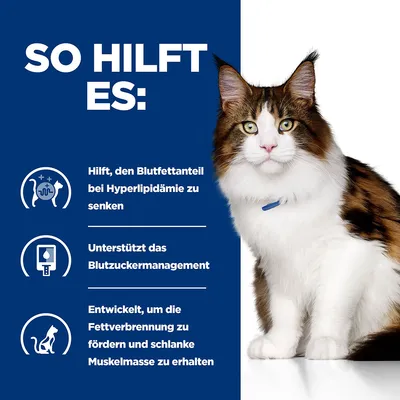 So hilft es: Senkt Blutfettanteil bei Hyperlipidämie, unterstützt Blutzuckermanagement, fördert Fettverbrennung und erhält schlanke Muskelmasse. Katze abgebildet.