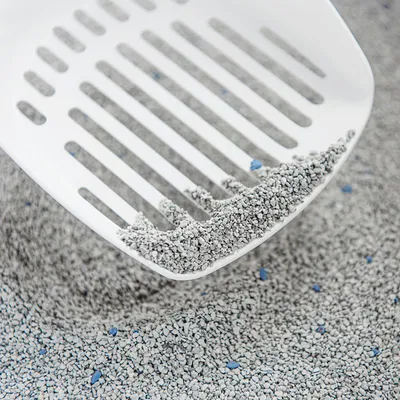 White litter scoop with grey cat litter and blue particles, suitable for cleaning cat toilets.