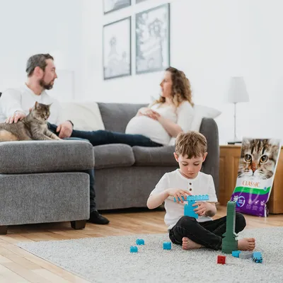 Child playing with building blocks, cat sitting on sofa next to man. In the background, cat food pack with 'Classic' label and cat image visible.