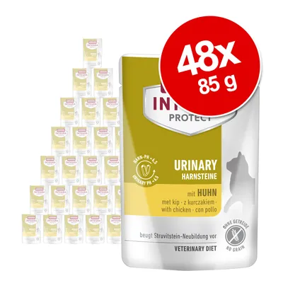 Pachet economic animonda Integra Protect Adult Pietre urinare 48 x 85 g