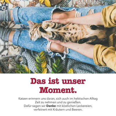 Text: Das ist unser Moment. Katzen erinnern uns daran, sich Zeit zu nehmen und zu geniessen. Wir sagen Danke mit Leckereien, verfeinert mit Kräutern und Beeren.