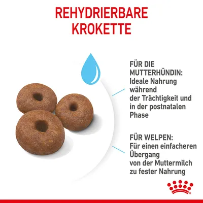 Rehydrierbare Krokette. Für die Mutterhündin: Ideale Nahrung während der Trächtigkeit und in der postnatalen Phase. Für Welpen: Einfacher Übergang von Muttermilch zu fester Nahrung.