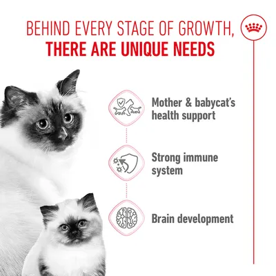 Growth phases require individual needs: support for the health of mother and kitten, strong immune system, brain development.