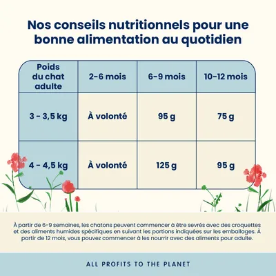 Almo Nature Holistic Kitten poulet, riz pour chaton