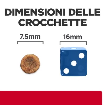 Dimensioni delle crocchette: diametro 7,5 mm a confronto con un dado da 16 mm. Testo visibile: 'DIMENSIONI DELLE CROCCHETTE', '7.5 mm', '16 mm'.