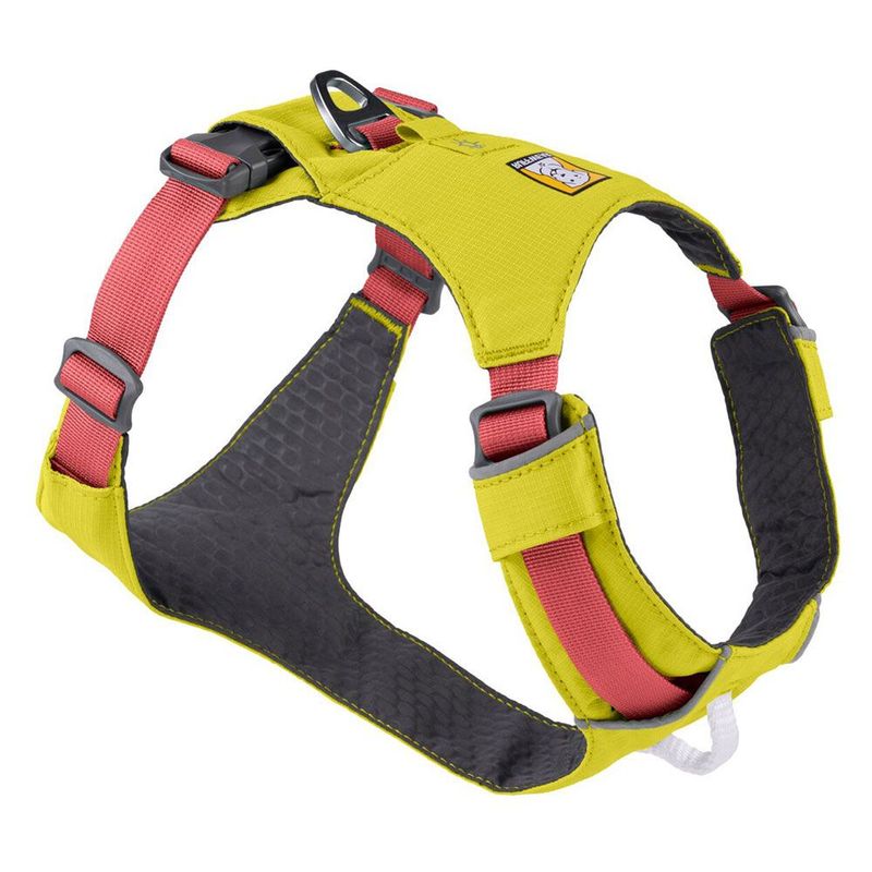 Harnais Ruffwear pour chien + Jouet Ruffwear Huckama offert !