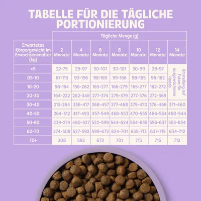 Tabelle für die tägliche Portionierung: Empfohlenes Körpergewicht und Fütterungsmenge in Gramm nach Alter von 2 bis 14 Monaten, Umstellung auf Futter für ausgewachsene Hunde. Tabelle für die tägliche Portionierung: Empfohlenes Körpergewicht und Fütterungsmenge in Gramm nach Alter von 2 bis 14 Monaten, Umstellung auf Futter für ausgewachsene Hunde.
