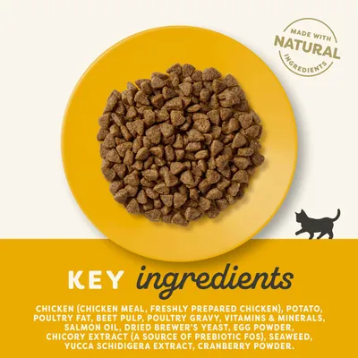 Key ingredients: chicken (chicken meal, freshly prepared chicken), potato, poultry fat, beet pulp, poultry gravy, vitamins & minerals, salmon oil, dried brewer’s yeast, egg powder, chicory extract, seaweed, yucca schidigera extract, cranberry powder. Made with natural ingredients.