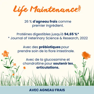 Almo Nature Adult Large, agneau & riz