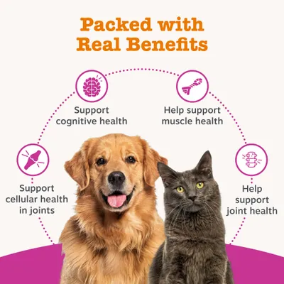 Zesty Paws Hip & Joint Salmon Oil Formula - 250ml Zesty Paws Hip & Joint Salmon Oil Formula - 250ml