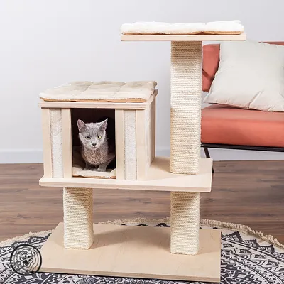 Tiragraffi Natural Paradise Orchid Vanda S