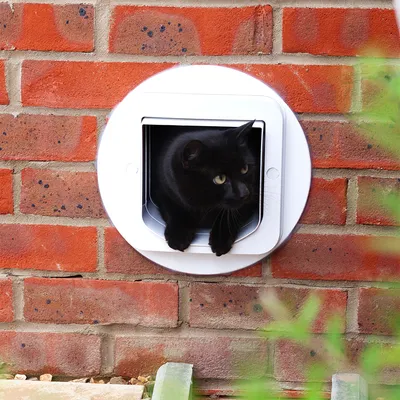 Schwarze Katze durchquert eine weisse Katzenklappe, eingebaut in eine Ziegelwand.