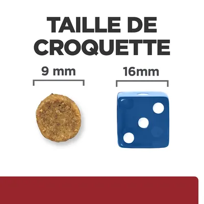 Taille de croquette illustrée : croquette ronde 9 mm à côté d’un dé bleu 16 mm, texte « TAILLE DE CROQUETTE » en haut.